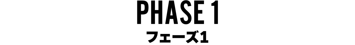 フェーズ1