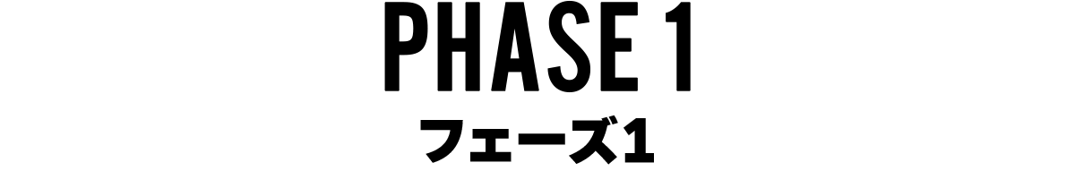 フェーズ1