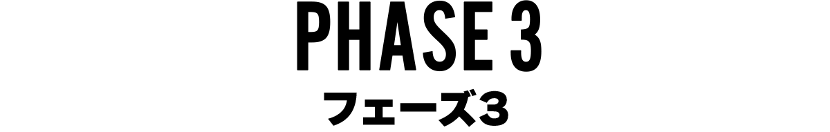 フェーズ2