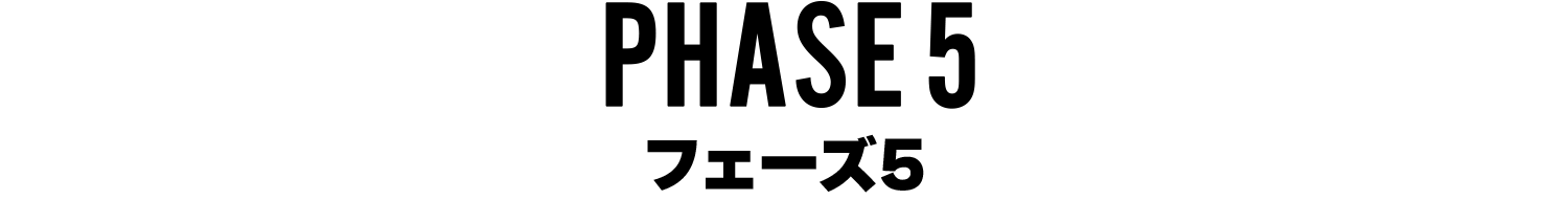 フェーズ5
