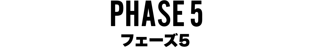 フェーズ2