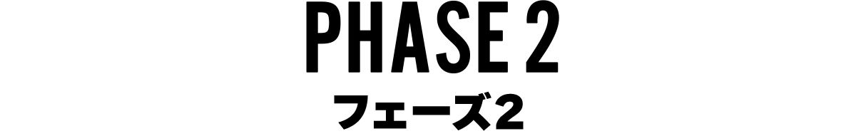 フェーズ2